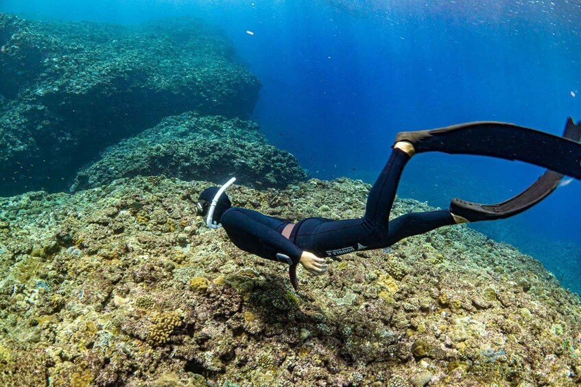 A diver swimming underwater near a coral reef. 3