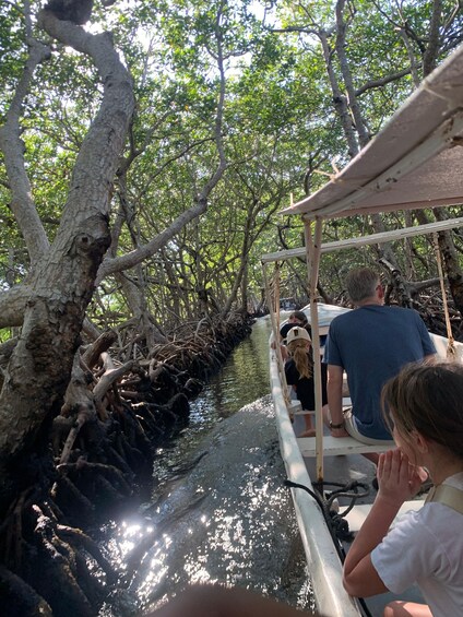A boat navigating through a mangrove forest with people on board. 5