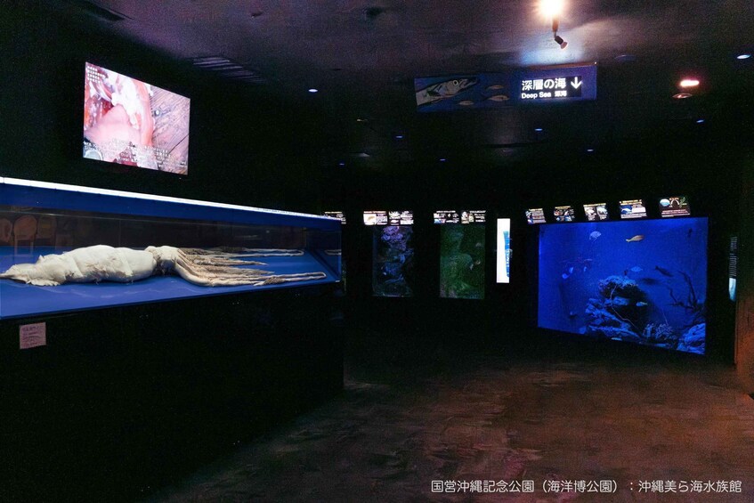 An aquarium with fish tanks and informational displays. 2
