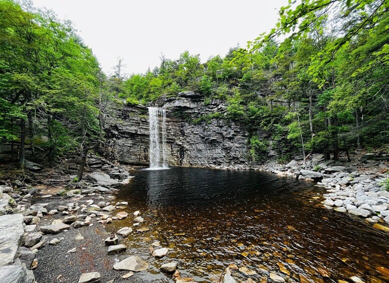 A waterfall cascading into a clear pool surrounded by dense forest. 5