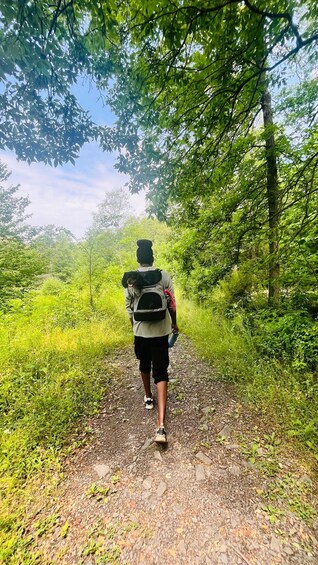 A person walking on a dirt path surrounded by lush greenery. 4