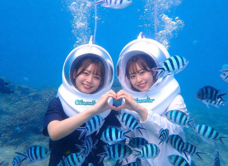 Two people in scuba diving gear surrounded by fish underwater. 5