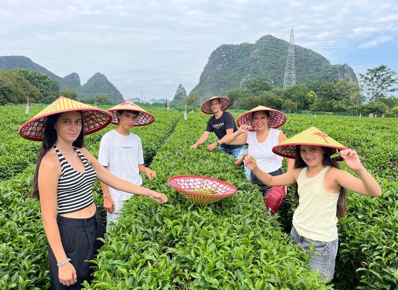 A group of people harvesting tea in a lush green field with mountains in the background. 1