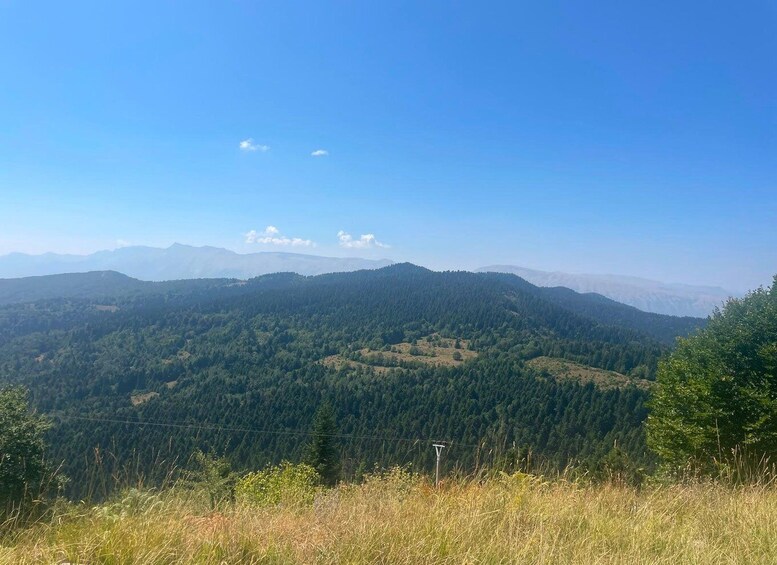 Picture 35 for Activity Permet: Hotova Fir National Park & Frashër 4x4 Jeep Tour 5