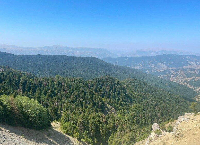 Picture 36 for Activity Permet: Hotova Fir National Park & Frashër 4x4 Jeep Tour 2
