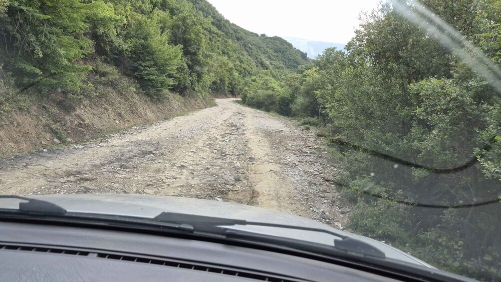 A rocky, unpaved road flanked by dense forest. 5