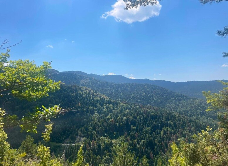Picture 37 for Activity Permet: Hotova Fir National Park & Frashër 4x4 Jeep Tour 4