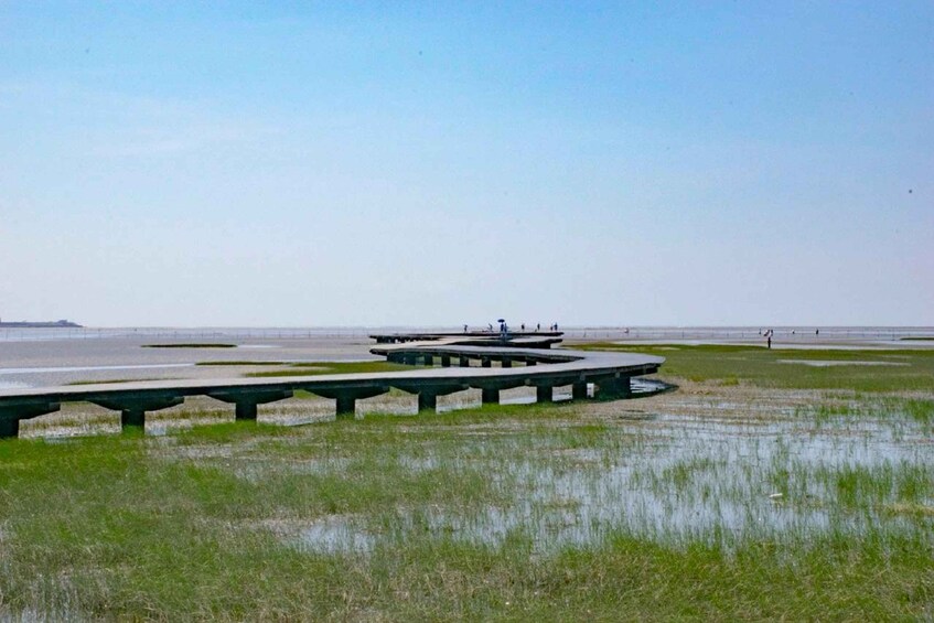 A coastal landscape with a series of concrete benches and a pier extending into the water. 2