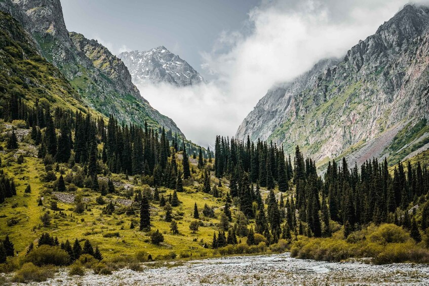 A mountainous landscape with a river, dense forest, and rocky peaks. 1