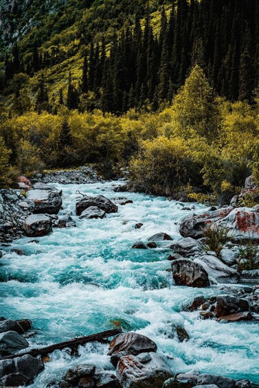 A fast-flowing river with rocks, surrounded by dense forest. 5