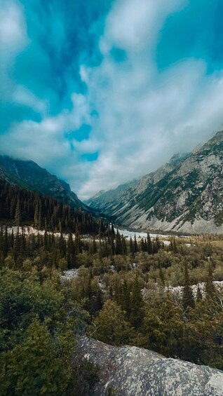 A mountainous landscape with dense forests and a river. 4