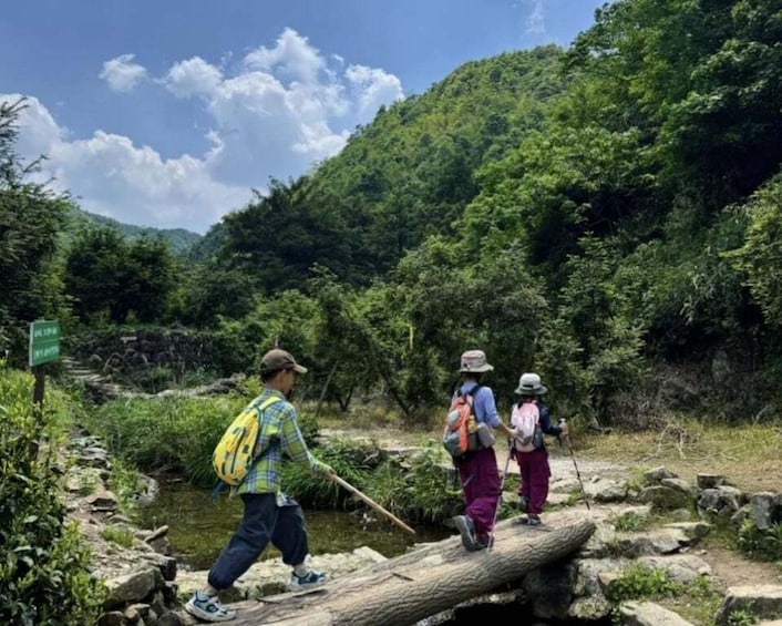 Hikers crossing a log bridge in a forested area with a mountain in the background. 1
