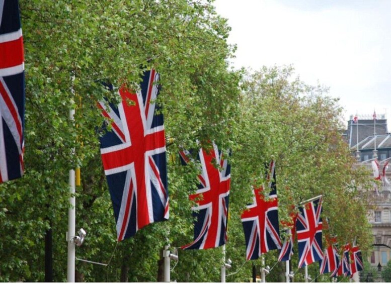 A row of British flags on flagpoles along a tree-lined street. 5