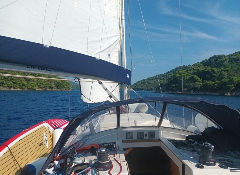A sailboat with a white sail and a blue hull, navigating near a coastline with dense greenery. 1
