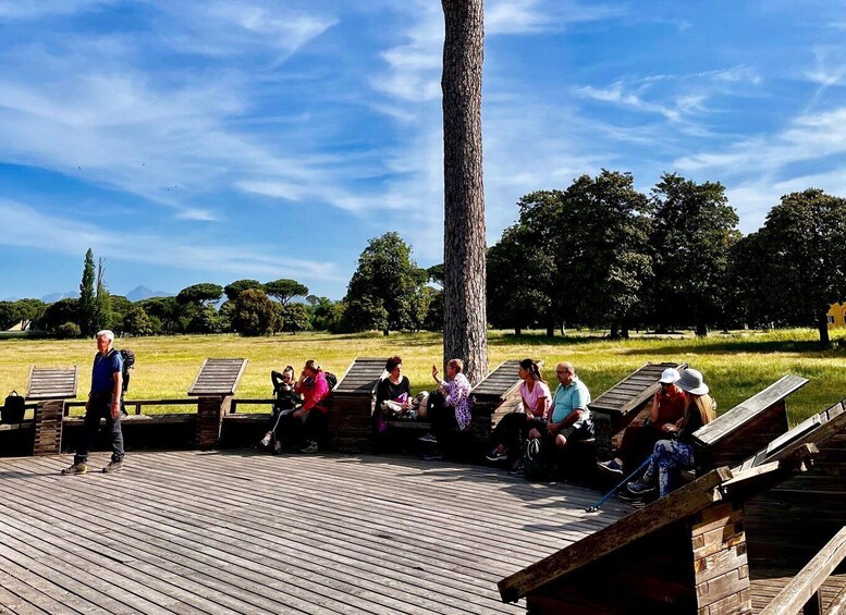 A group of people sitting on wooden benches in a park with a large tree and a clear sky. 5