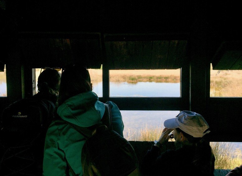 Two people observing a body of water through a window. 3