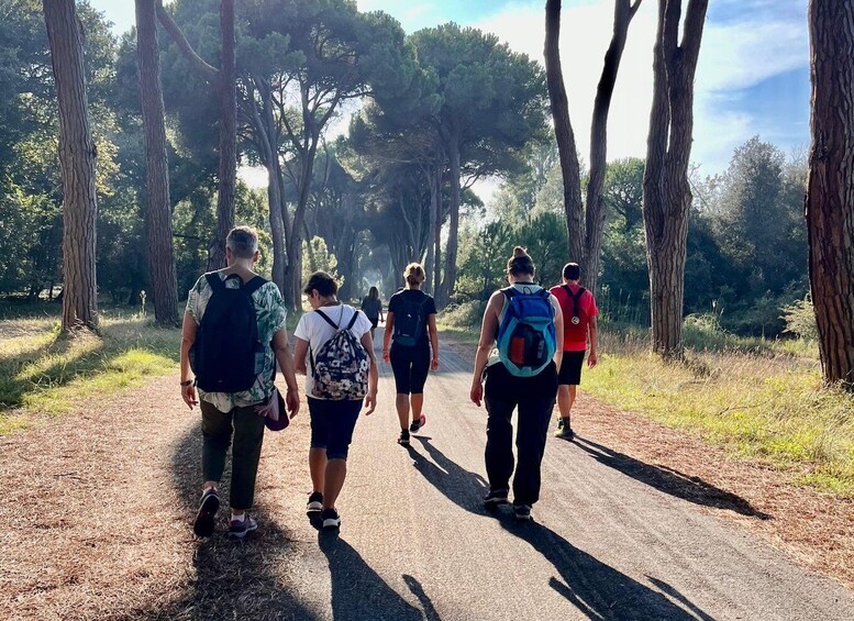 A group of people walking on a dirt path surrounded by tall trees. 4