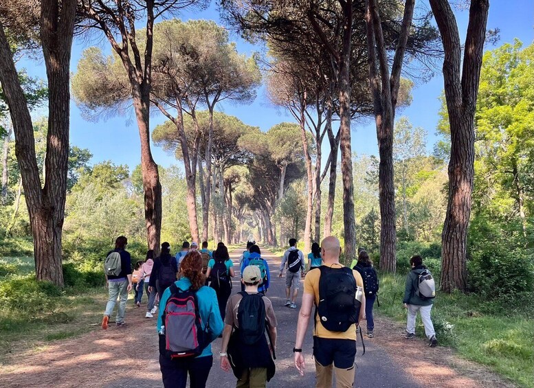 A group of people walking on a tree-lined path. 1