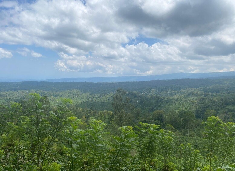 A dense forest landscape with a distant mountain range under a partly cloudy sky. 2