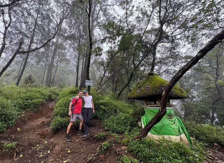 Picture 8 for Activity Mount Batukaru trekking with -Sunrise or day time adventure 4