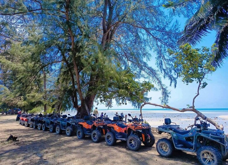 A row of ATVs parked on a sandy beach with trees in the background. 5