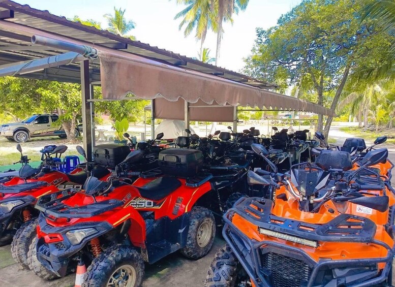 A row of ATVs parked under a shelter with palm trees in the background. 3