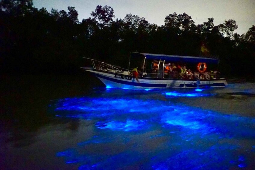 Kuala Lumpur: Fireflies, Bioluminescence & Dinner 1