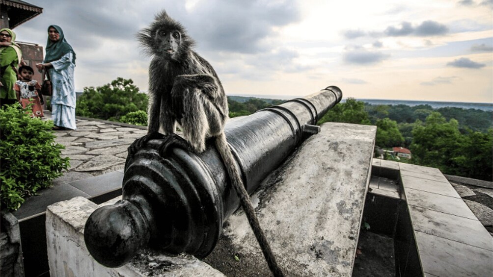 A monkey sitting on a cannon, with a group of people in the background. 5