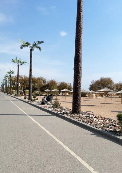 A paved road lined with palm trees and a sandy area with umbrellas. 2