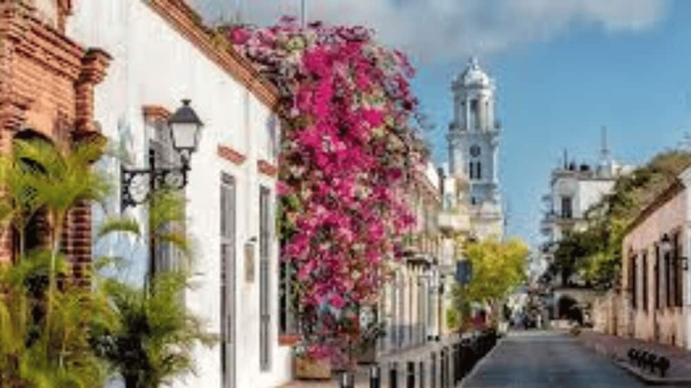 A street lined with white buildings, a pink flowering vine, and a bell tower. 3