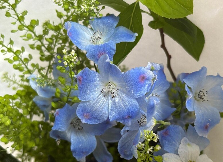A cluster of blue flowers with green leaves. 5