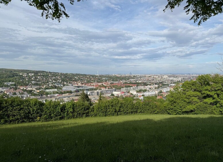 A cityscape with a prominent stadium, dense residential areas, and a hill with greenery in the foreground. 2
