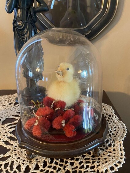 A glass dome with a duckling and red berries on a lace doily. 3