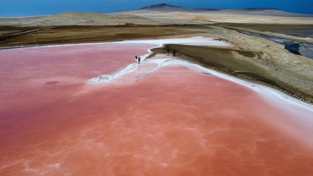 A pink salt flat with people walking along its edge. 2