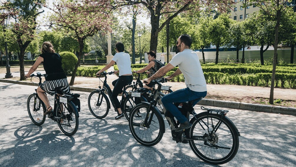 Four people riding bicycles on a tree-lined street. 3