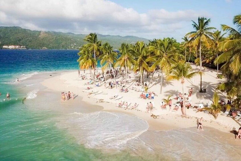 A beach with palm trees and people sunbathing. 5