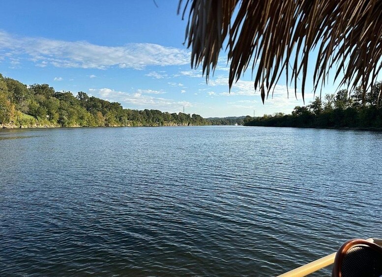 A calm river with a boat, surrounded by dense trees and a clear sky. 2