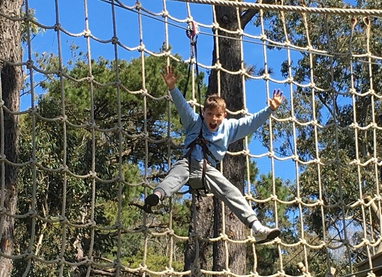 A person navigating a rope bridge in a forested area. 3