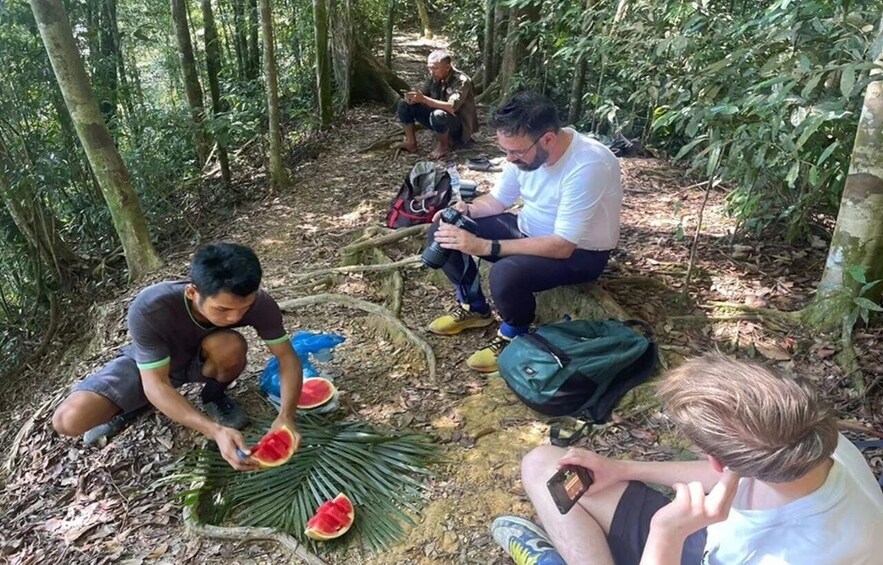 People in a forest, one cutting a plant, another taking photos, and a third using a phone. 1