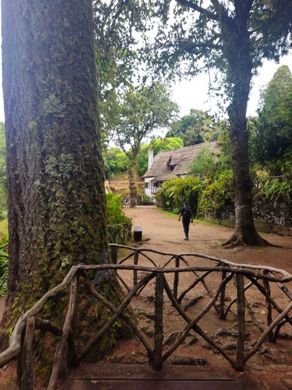 A wooden bridge leading to a house surrounded by trees. 4