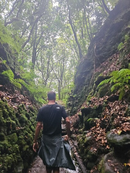 A person walking through a forested area with moss-covered rocks and trees. 3