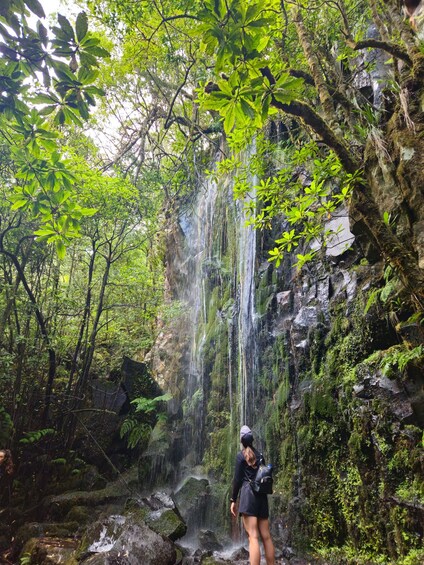 A waterfall in a forested area with dense foliage and moss-covered rocks. 5