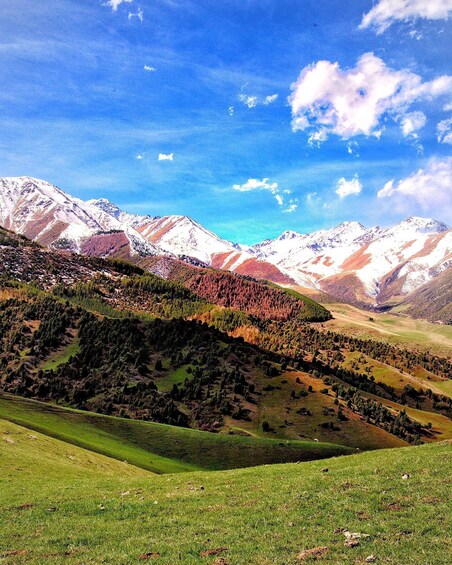 A mountainous landscape with snow-capped peaks, green valleys, and a clear blue sky. 3