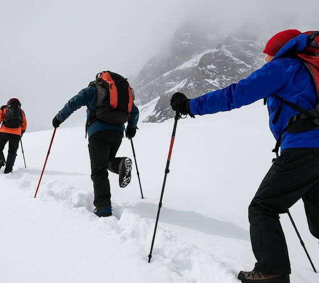 Three people hiking in a snowy mountainous area with snowshoes and trekking poles. 1