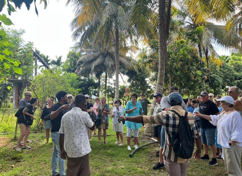 A group of people gathered outdoors in a tropical setting with palm trees and greenery. 4