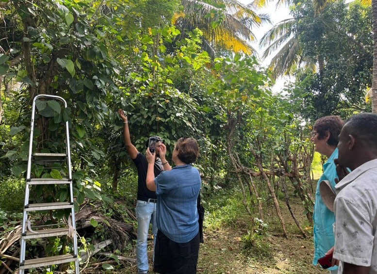 A group of people taking photos in a dense, green forest with a metal ladder nearby. 2