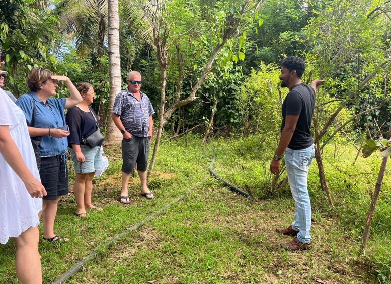 A group of people standing in a grassy area with trees and shrubs. 3