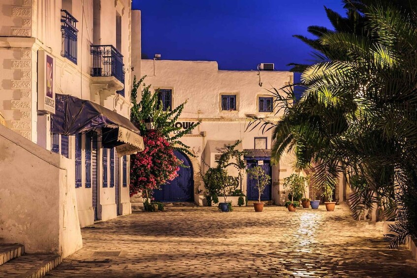 A cobblestone street lined with buildings, potted plants, and a blue door. 4