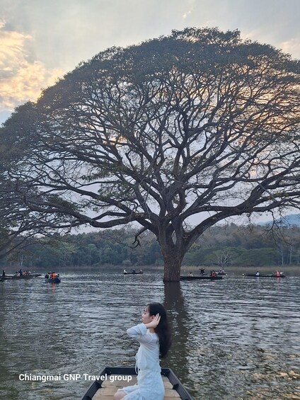 A large tree by a calm lake with several boats and people. 5