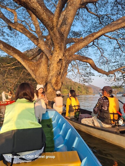 A group of people in canoes on a river, with a large tree in the background. 4